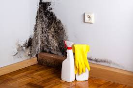 Best Mold Prevention Services in Arlington, OH